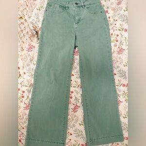 *PETITE* Mint Green Flare Jeans
